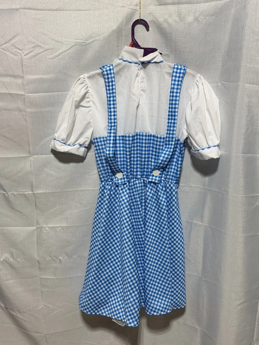 Rubie's Wizard of Oz Dorothy Costume